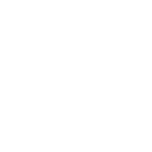 Peace Institute